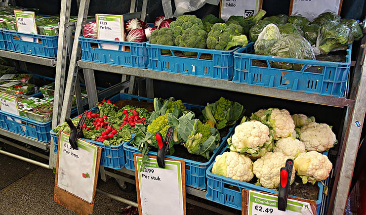 水果塑料周轉箱筐批發(fā)，快到筐里來！