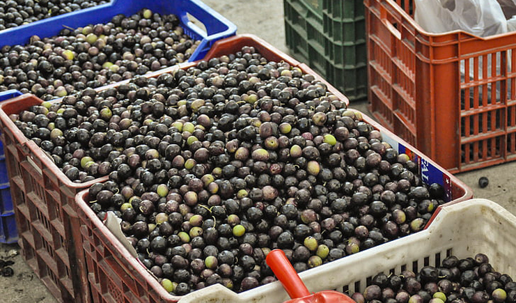 蔬菜水果塑料周轉筐，帶你玩轉不一樣的周轉筐
